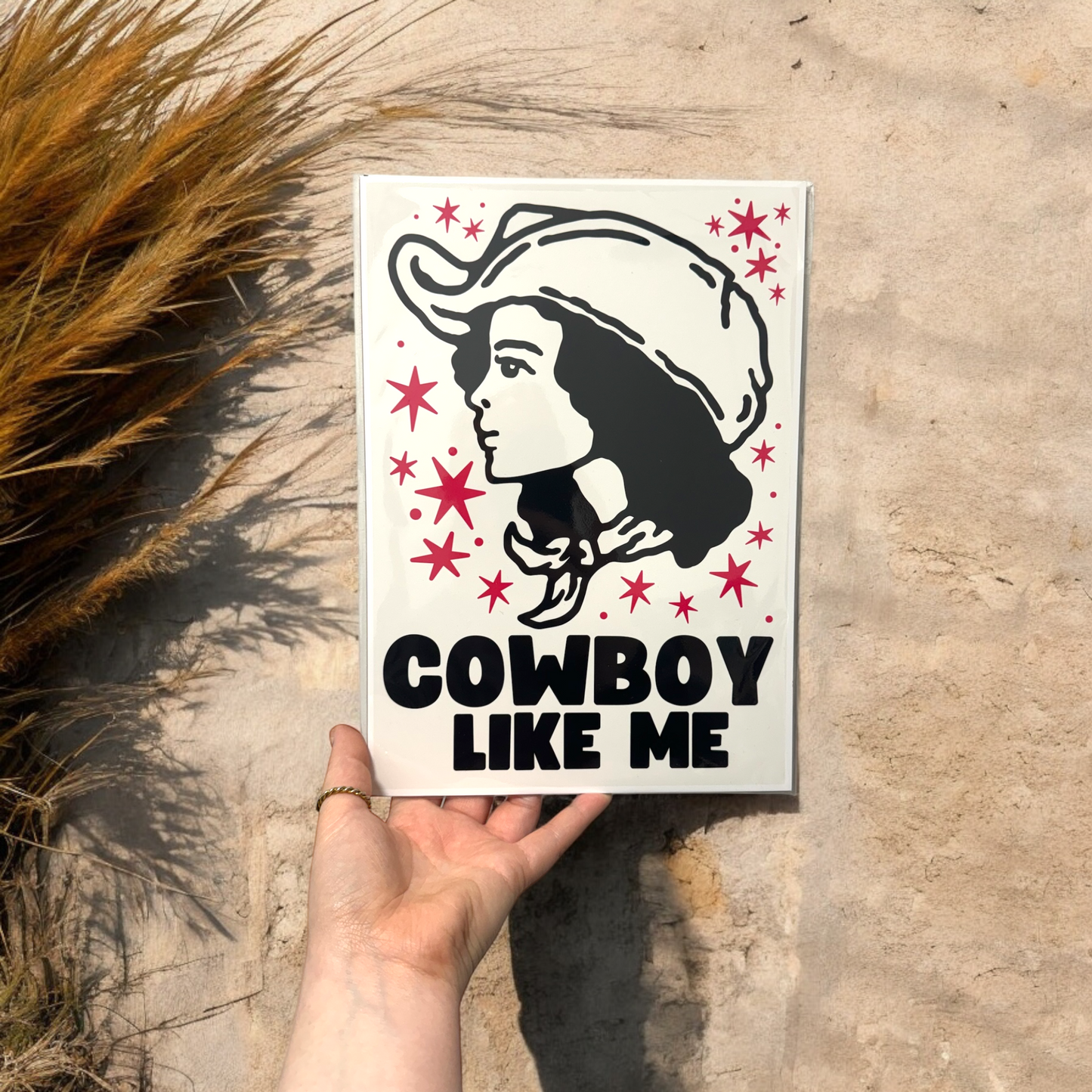 Taylor Swift Cowboy Like Me A4 Print