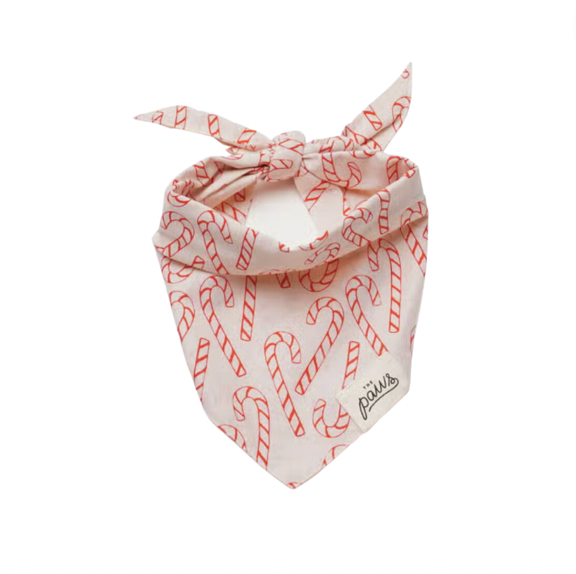 The Paws Dog Bandana XL