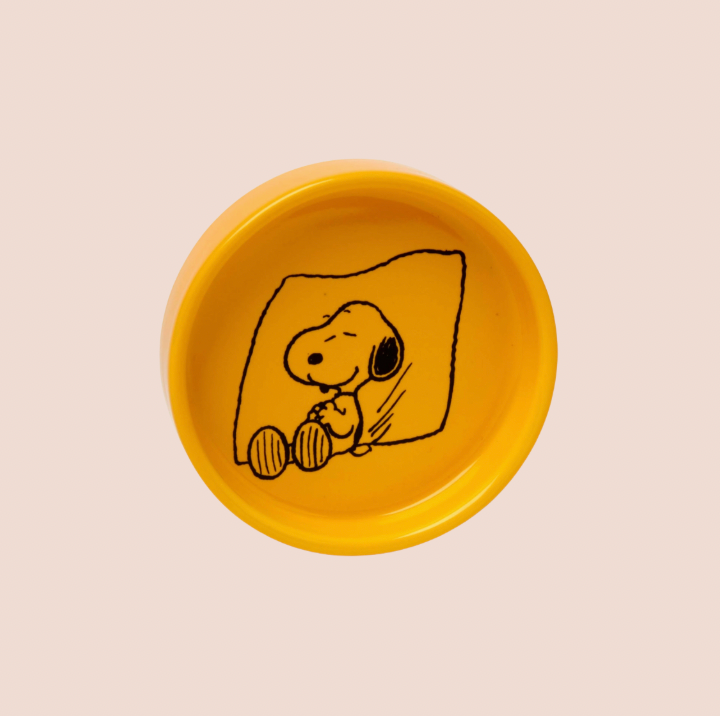 Snoopy Peanuts Pin Dish - Lazy Day