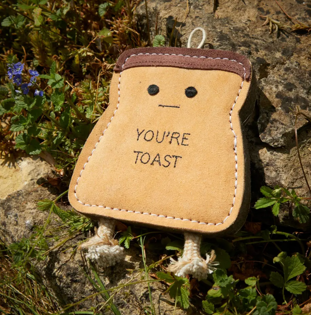 Toast Dog Toy