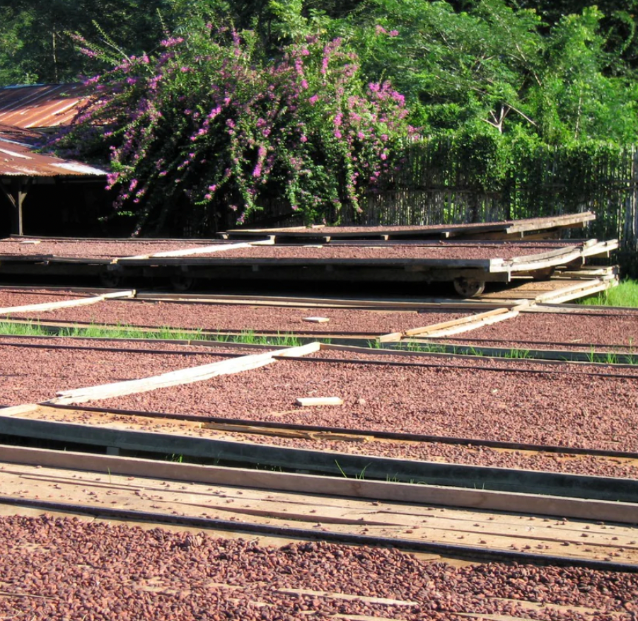 Madagascar 84% Dark Chocolate Bar