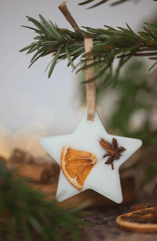 Handmade Cinnamon & Apple Hanging Wax Melt