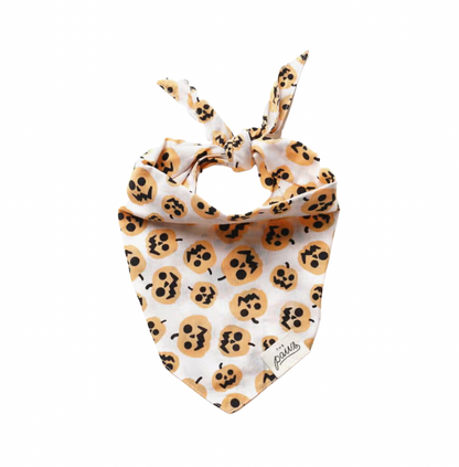 The Paws Dog Bandanas Size S