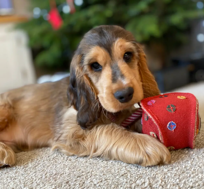 Christmas Bauble Rope Dog Toy