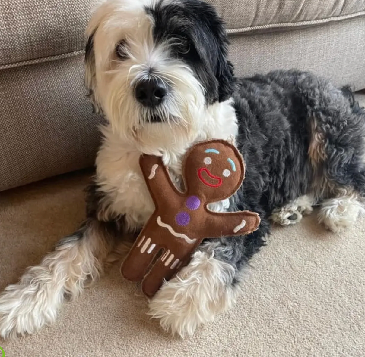 Genie Gingerbread Dog Toy