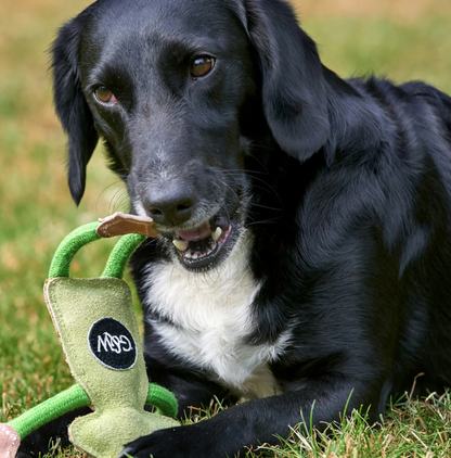 Francois Le Frog Dog Toy