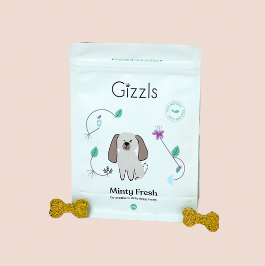 Minty Fresh Natural Dog Treat Pouch