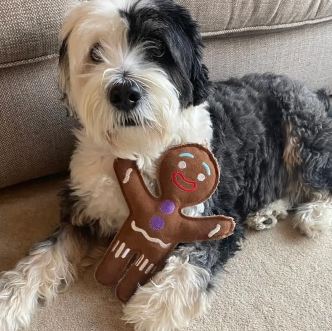 Gingerbread Man Dog Toy
