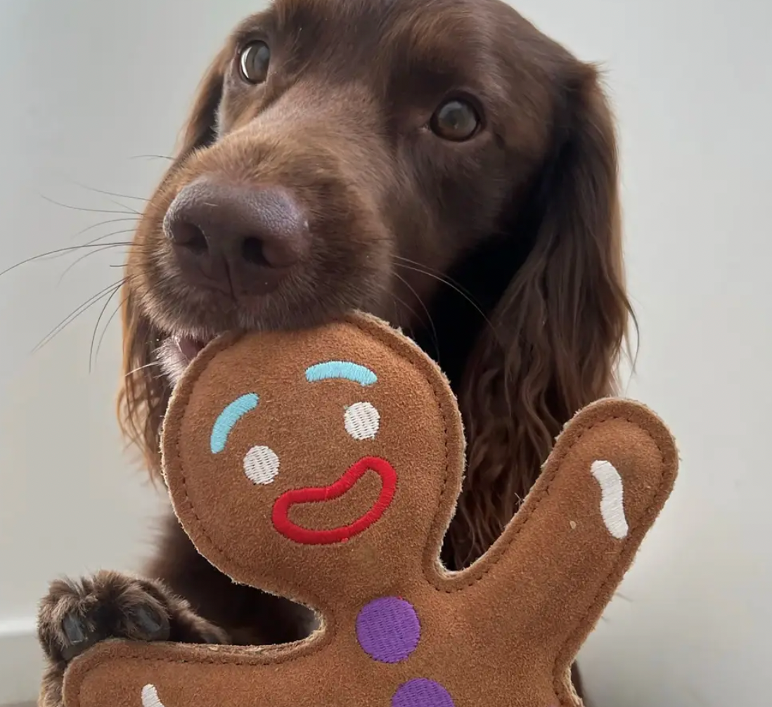 Gingerbread Man Dog Toy
