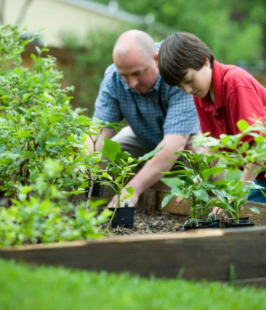 Homemade Lemon & Honey Marmalade 180g
