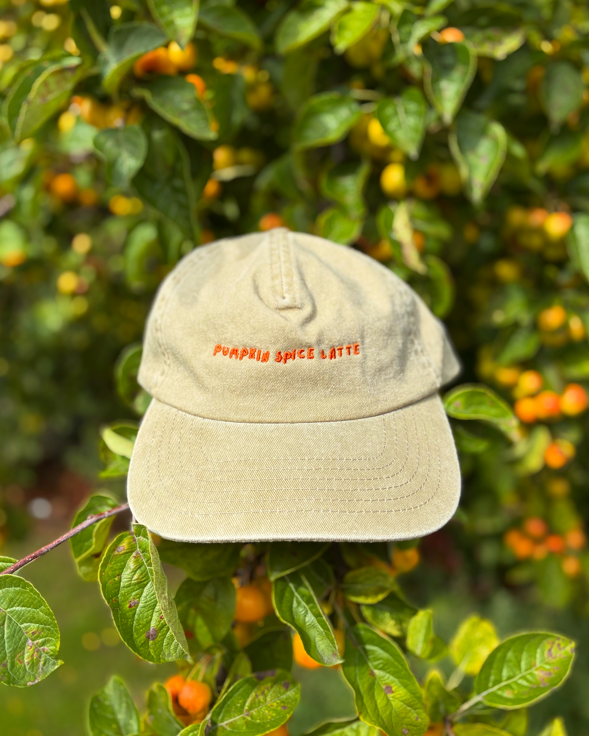 'Pumpkin Spice Latte' Embroidered Cotton Cap