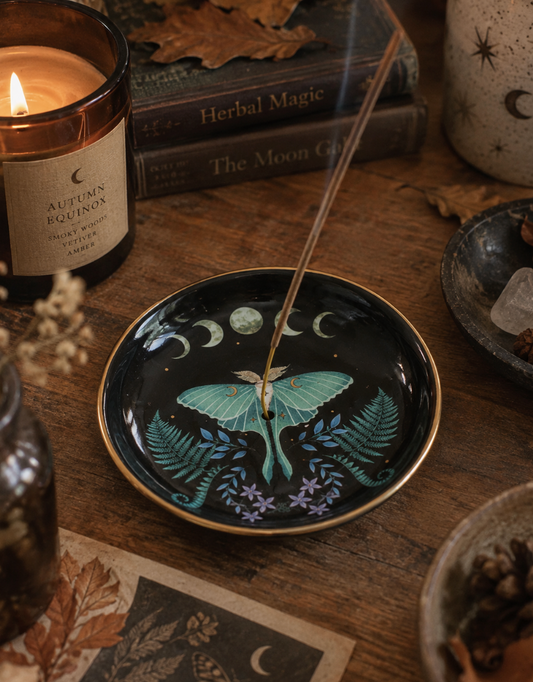 Moth Ceramic Incense Stick Holder