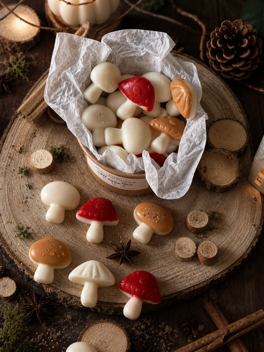 Enchanted Forest Mushrooms - Handmade Wax Melts Box