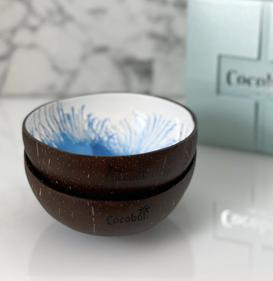 Hand Painted & Lacquered Coconut Bowl