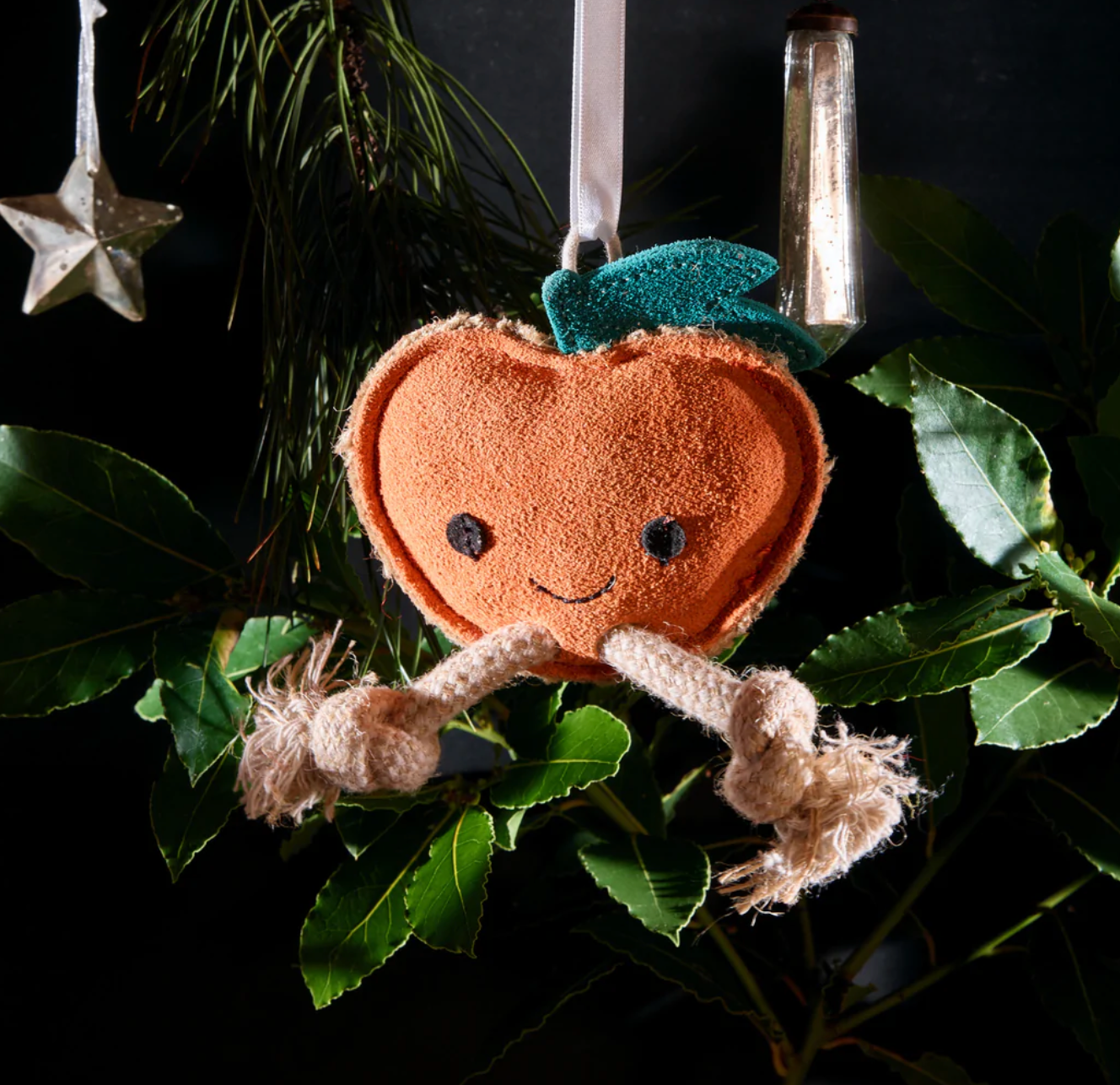 Eco Dog Toys by Green & Wilds