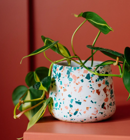 Handmade Terrazzo Planter