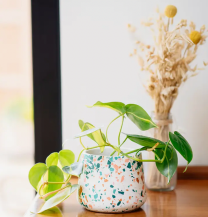 Handmade Terrazzo Planter