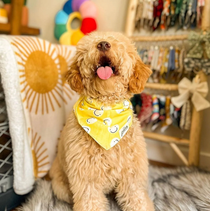 The Paws Dog Bandanas Size S