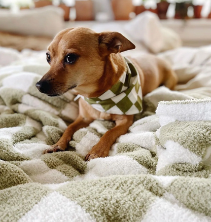 The Paws Dog Bandanas Size S